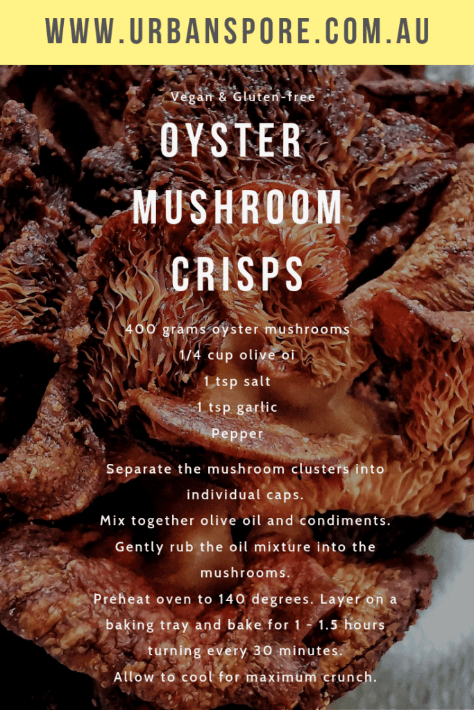 Oyster Mushroom Chip Recipe