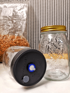 Grain Spawn & Liquid Culture Jars