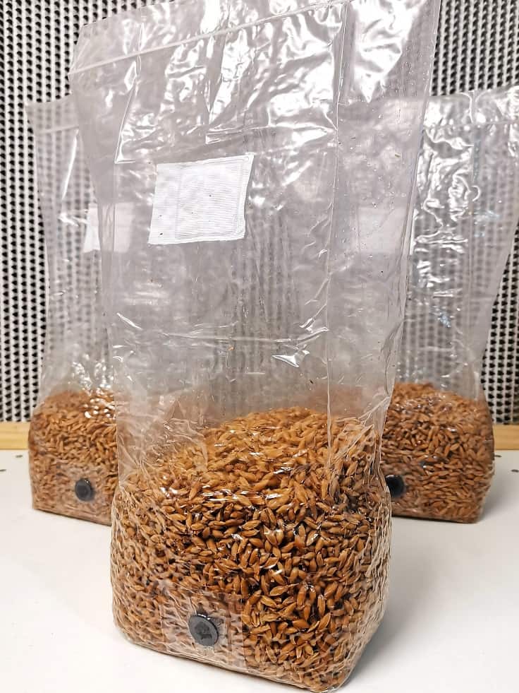 north spore grain bag