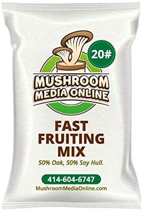 mushroom media online masters mix