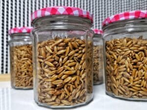 pre-sterilised grain jars for mushroom growing